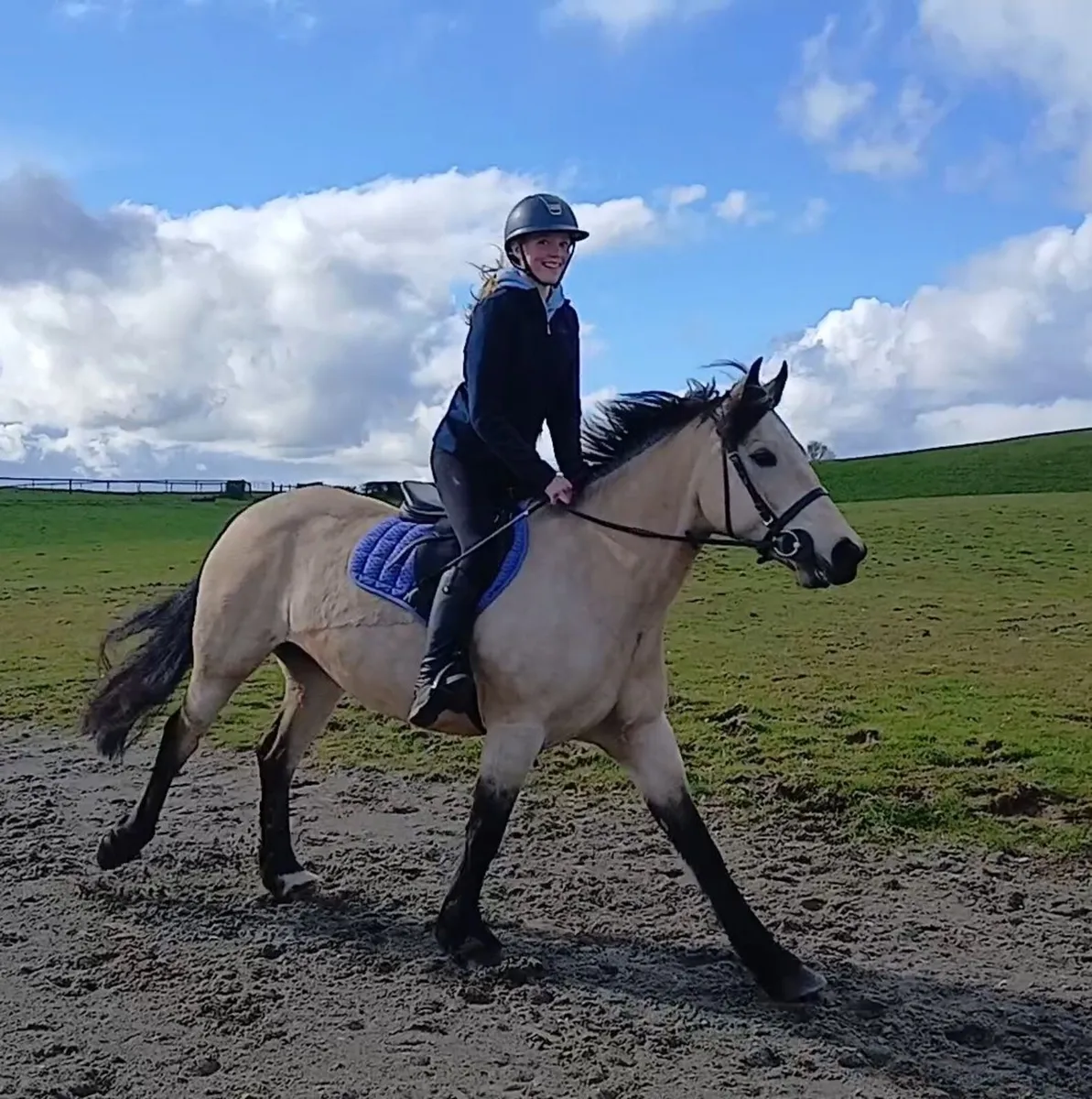 Pony Club/Riding Club/Working Hunter - Image 3