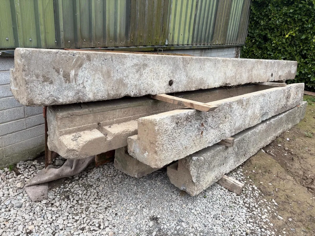 Concrete lentils - Image 4