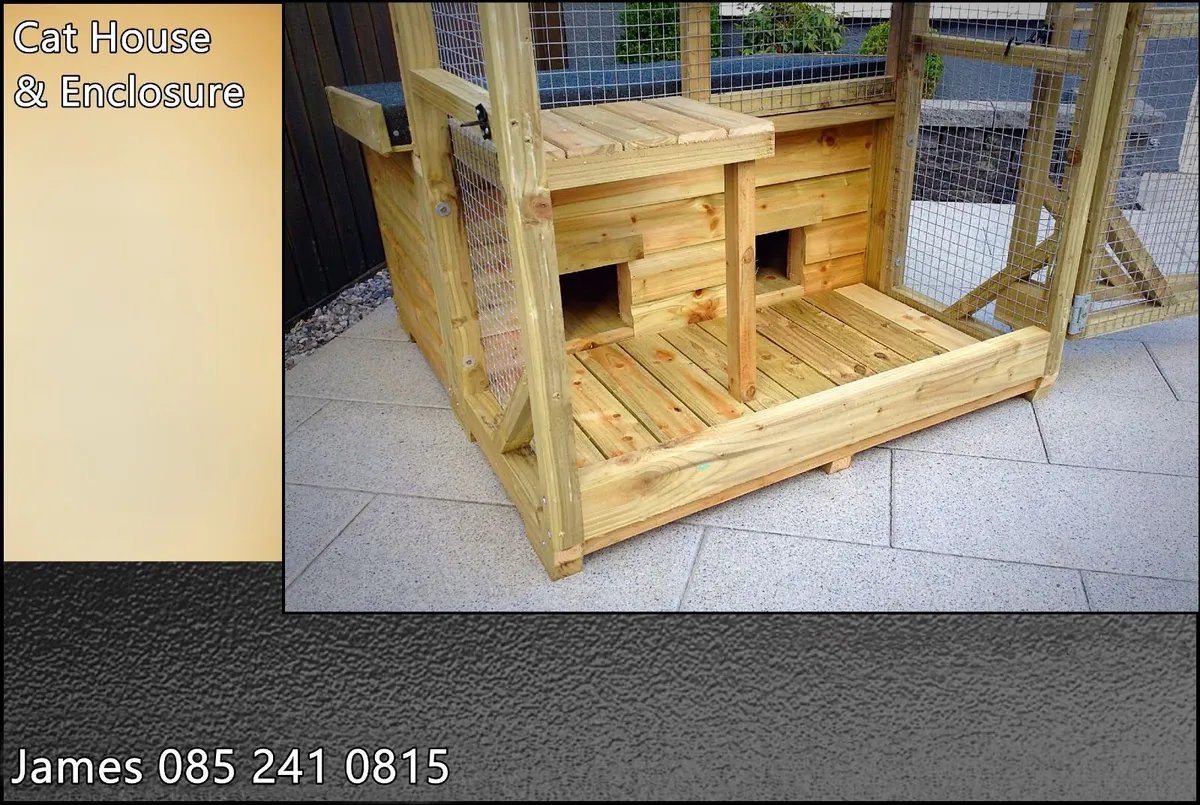 Cat/Kitten House & Enclosure - Image 3