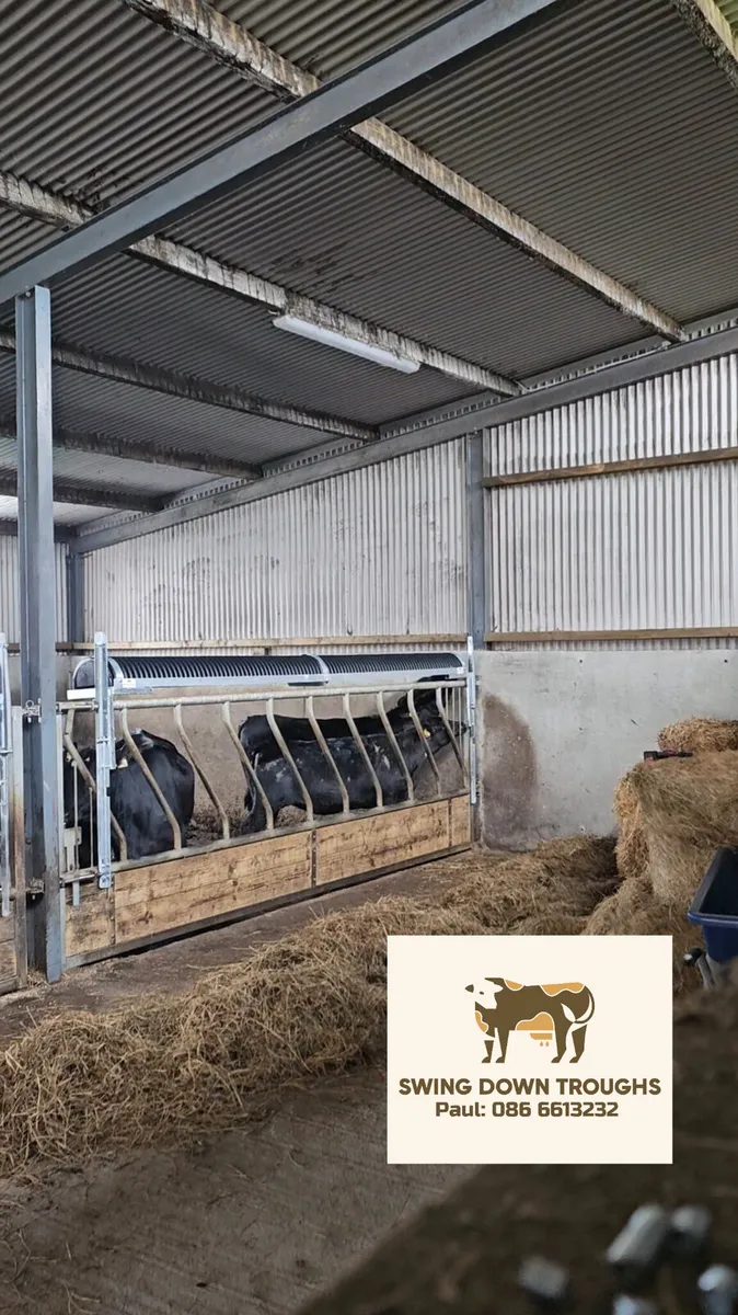 Swing Down Troughs, Fully Galvanised with Springs. - Image 4