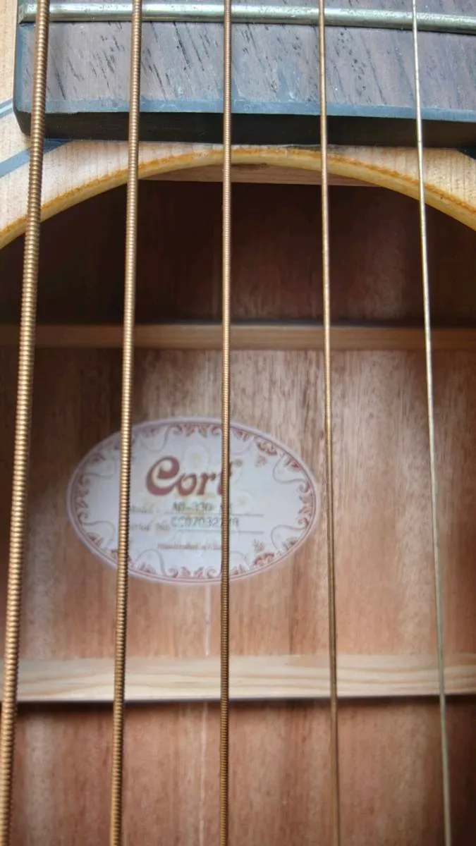 Acoustics Guitar/Electric Guitar - Image 2
