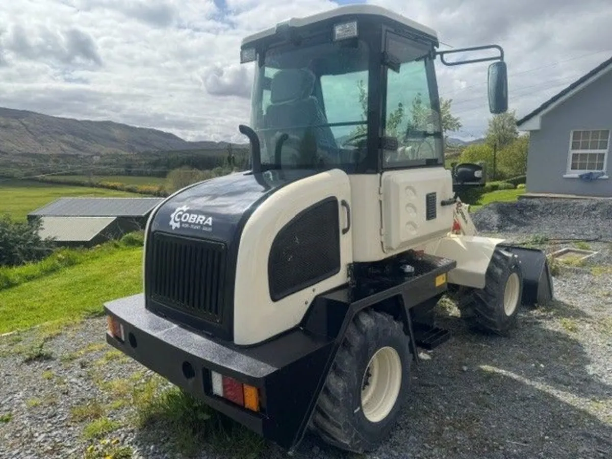 Cobra L10 - Image 1