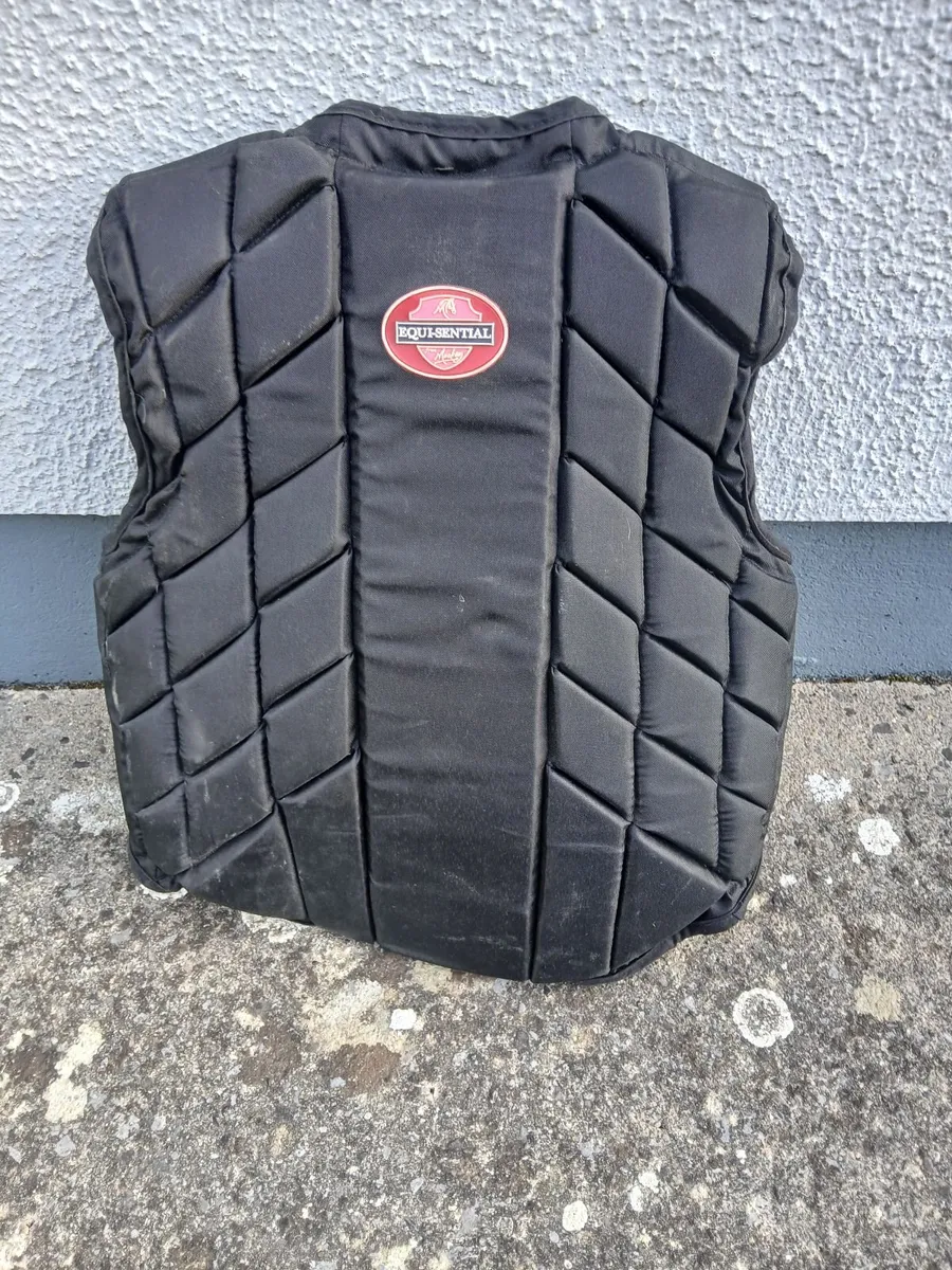 Body protector horseriding large child - Image 3
