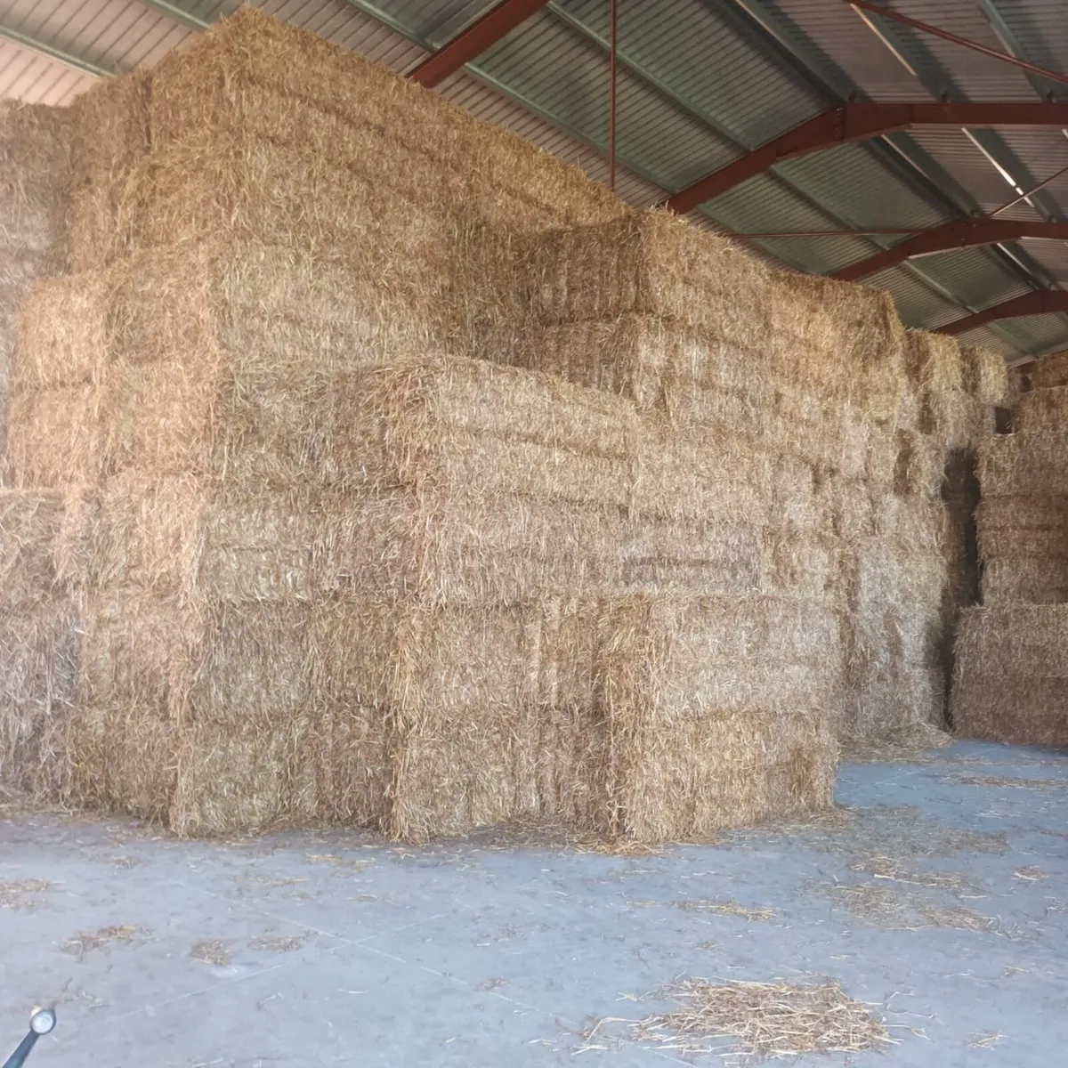 Barley Wheat & Oaten straw - Image 1