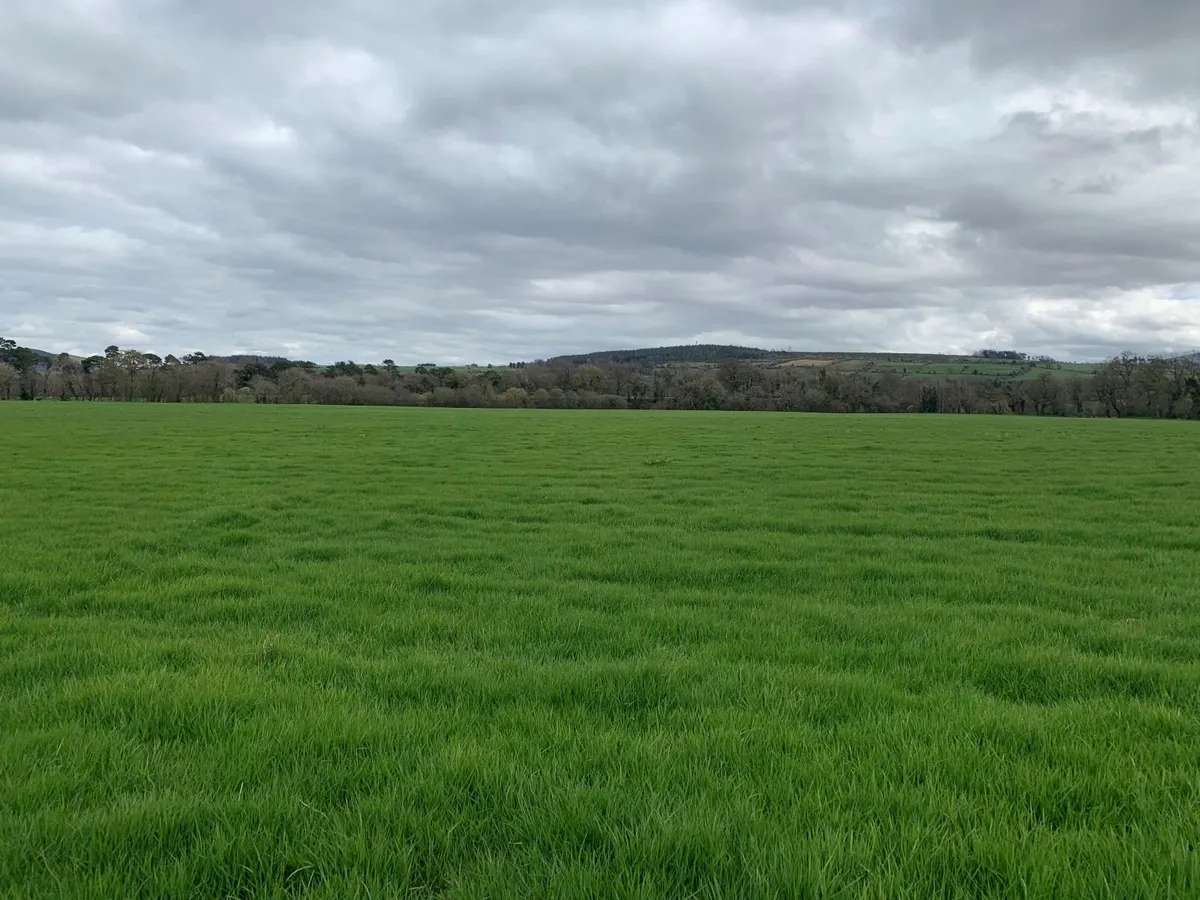 First Cut Silage - Image 1