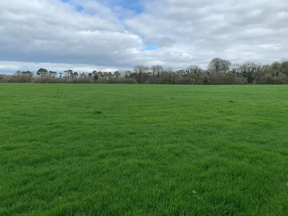First Cut Silage - Image 2