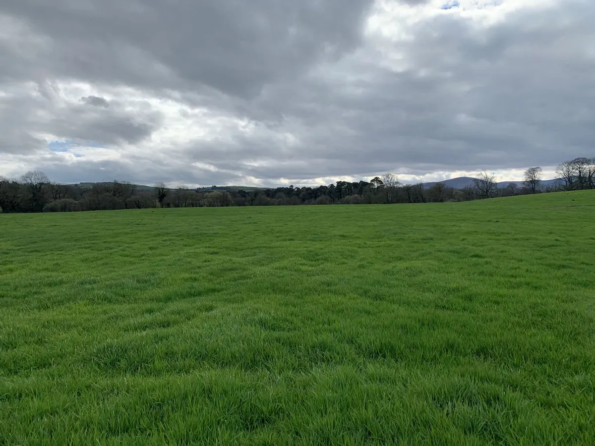 First Cut Silage - Image 3