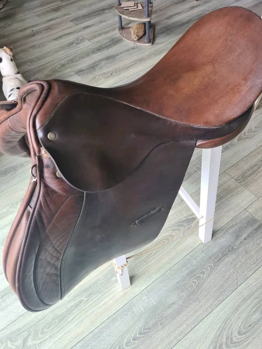 Saddle - Image 2