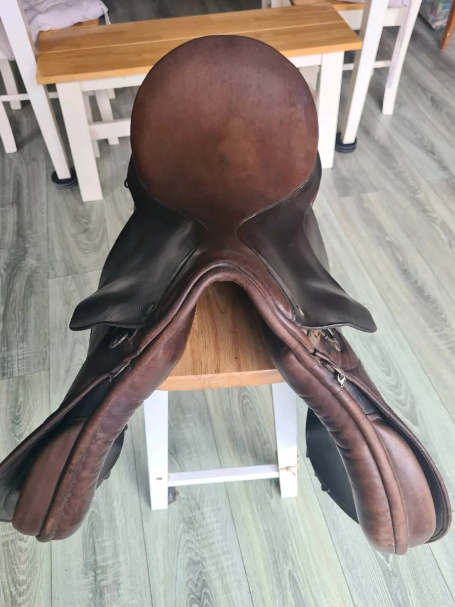 Saddle - Image 3