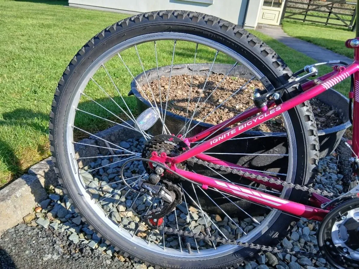 Girls Bike 26 inch - Image 4