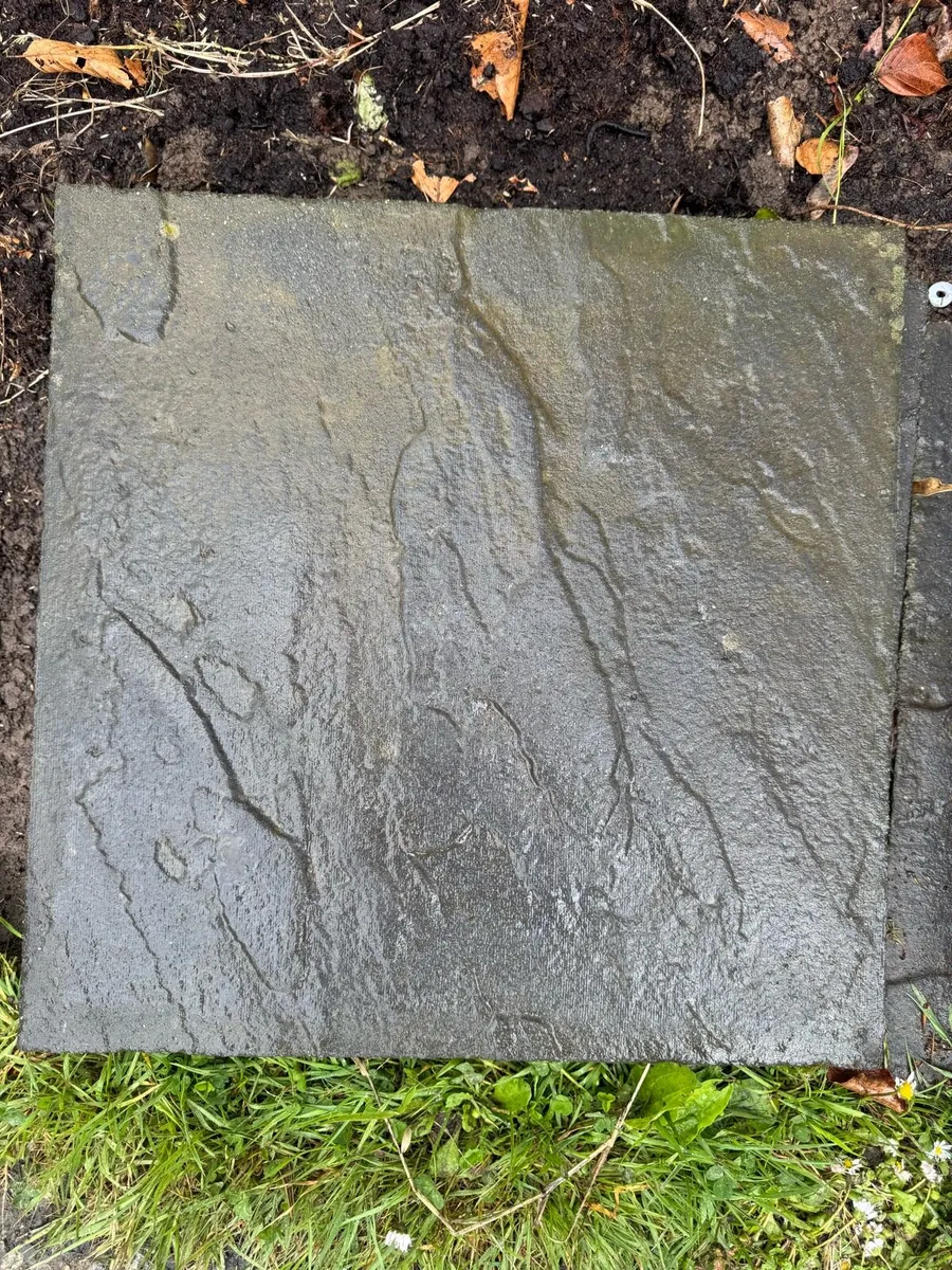 Stepping stone - Image 1