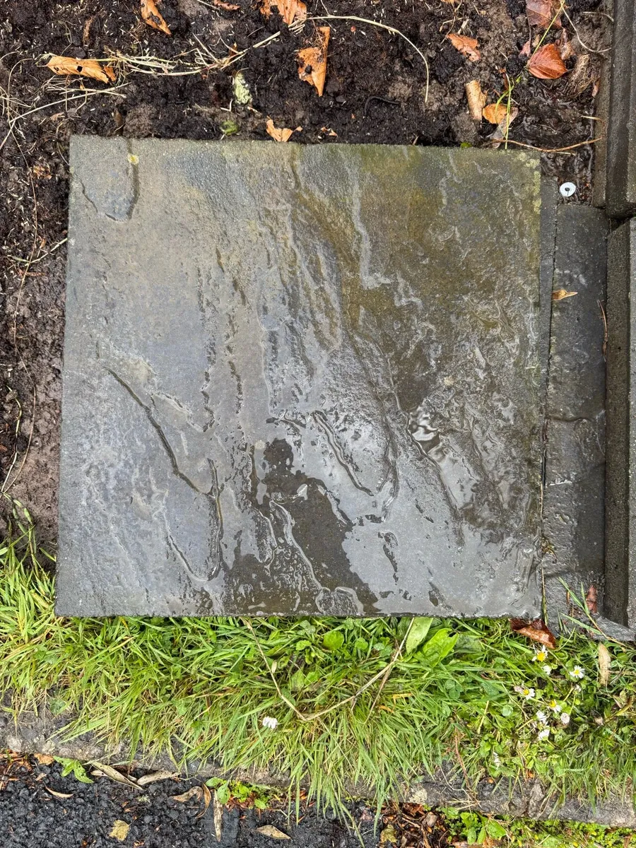 Stepping stone - Image 2