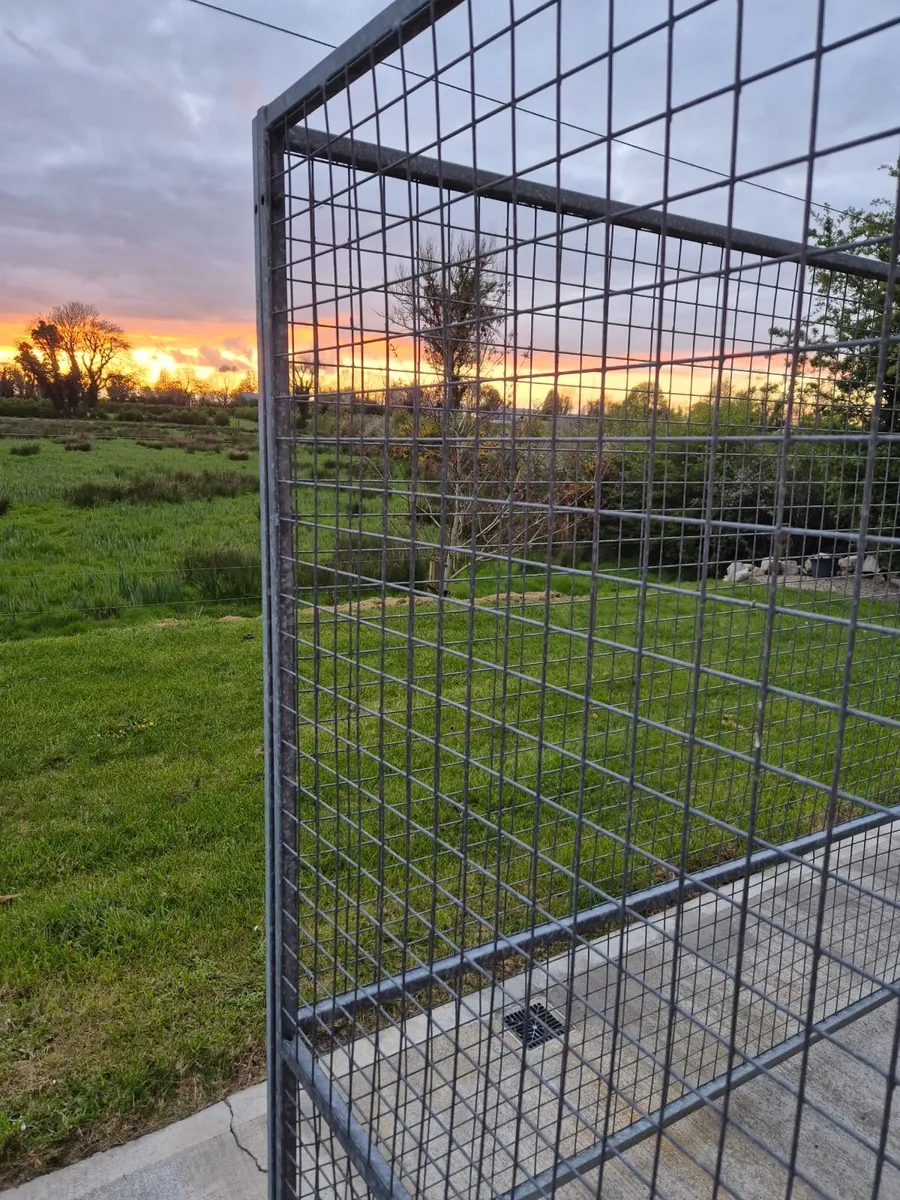 Dog pen - Image 2