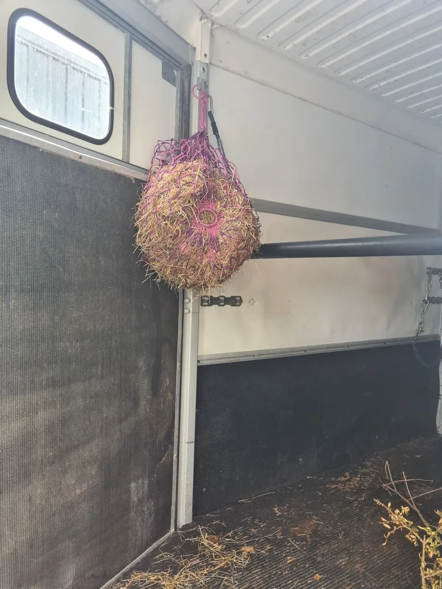 Horse box - Image 4