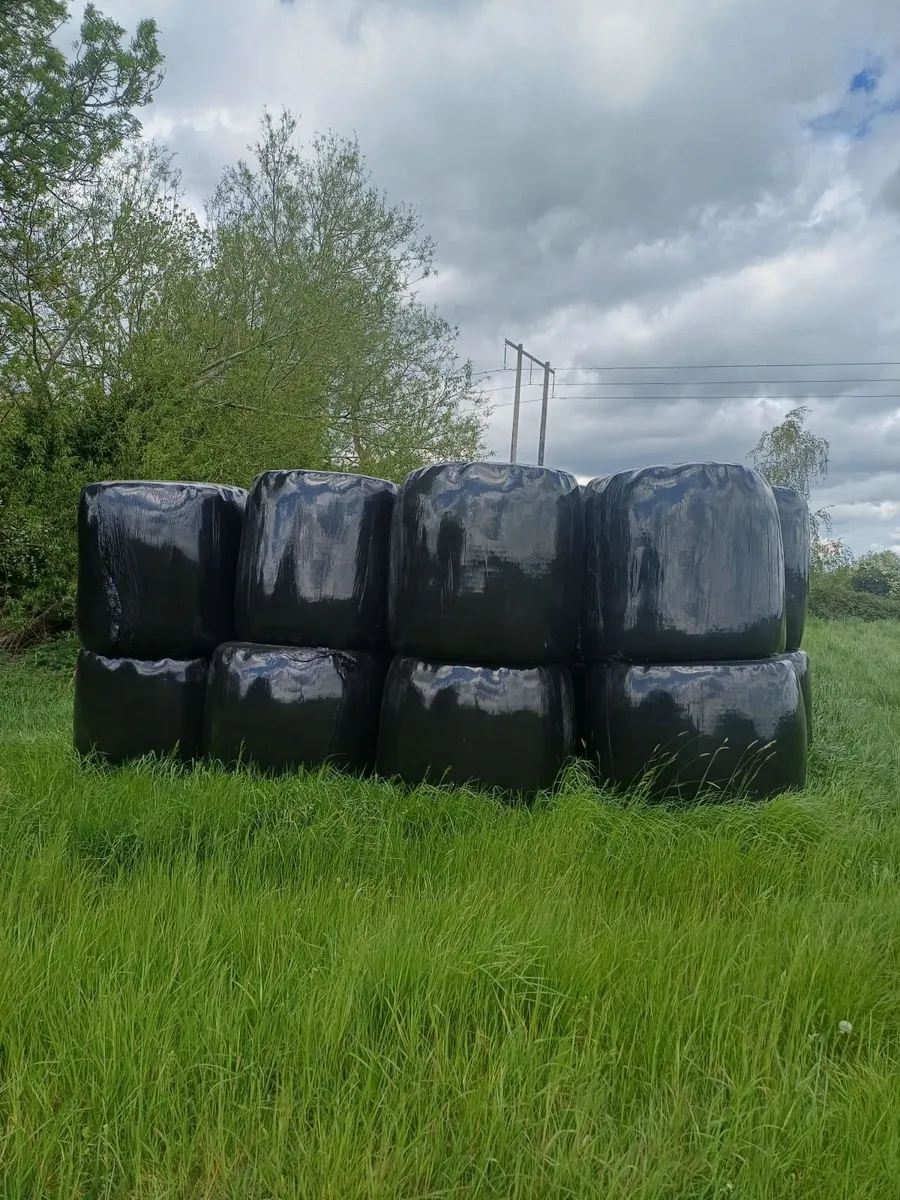 Silage Bales