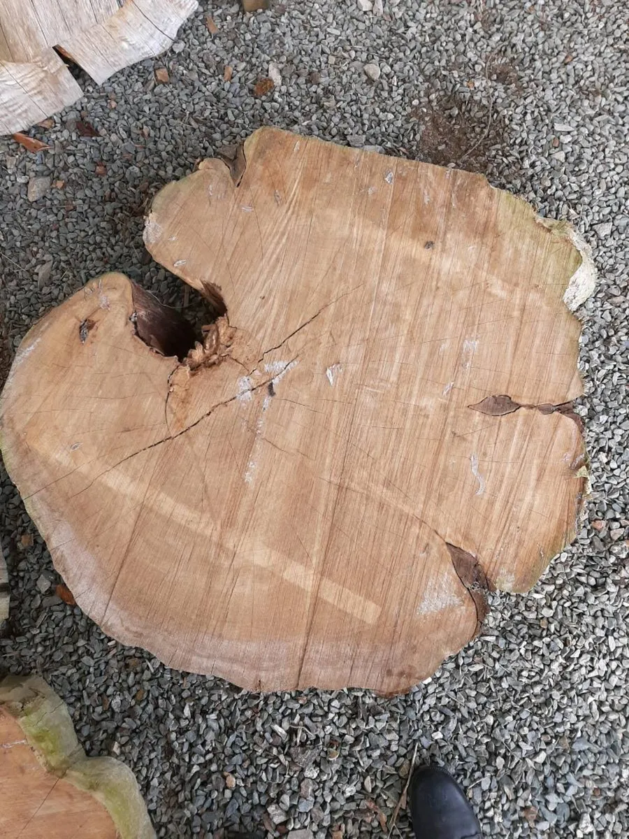 Timber discs - Image 4