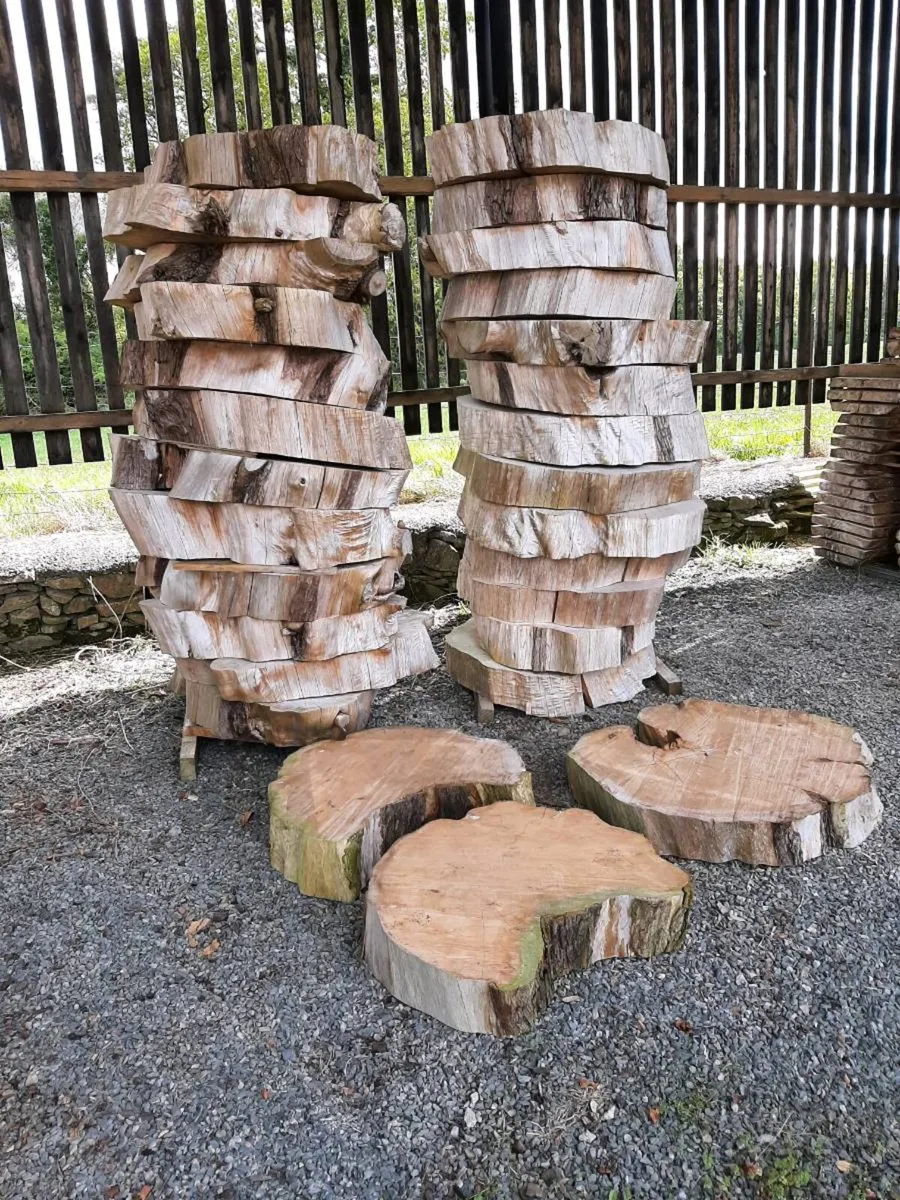 Timber discs - Image 1