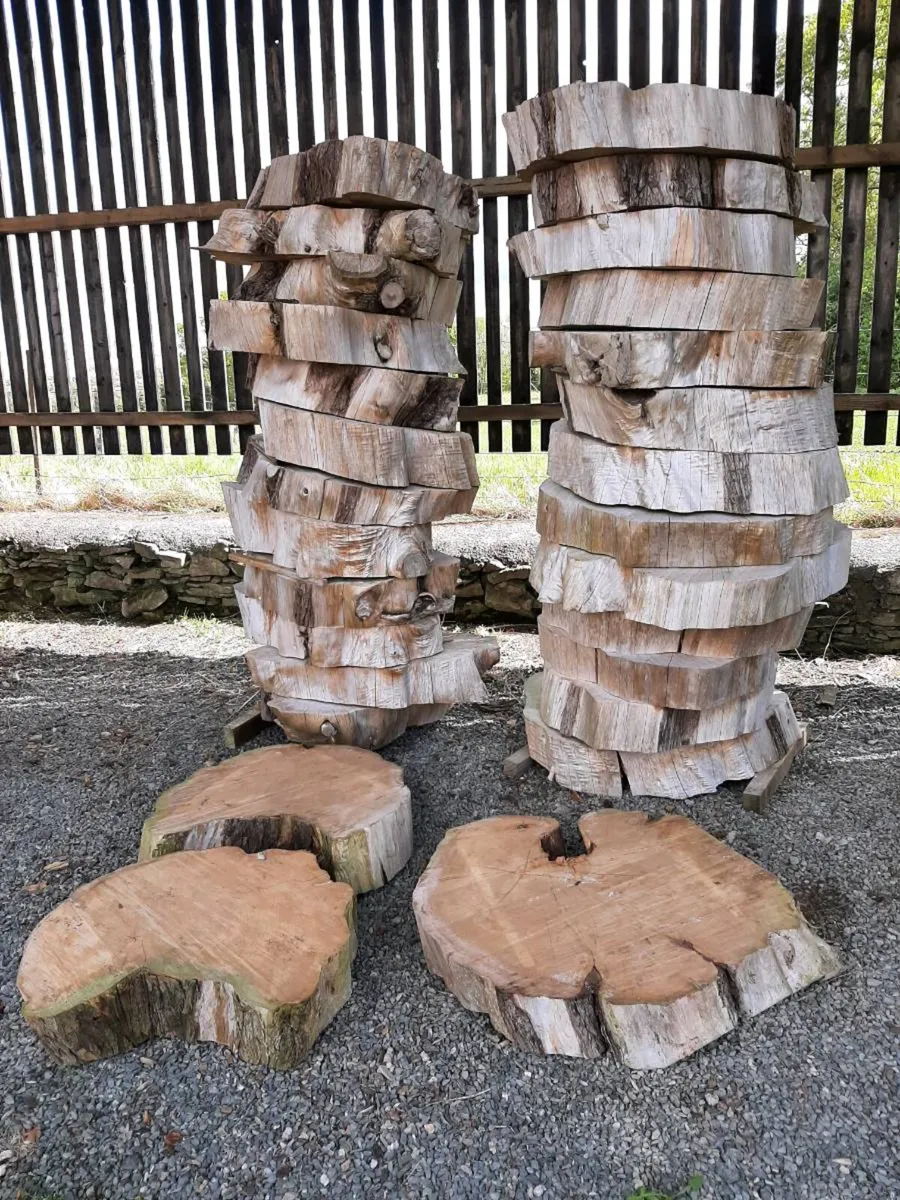Timber discs - Image 2