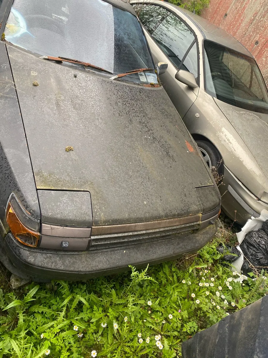 Celica - Image 2