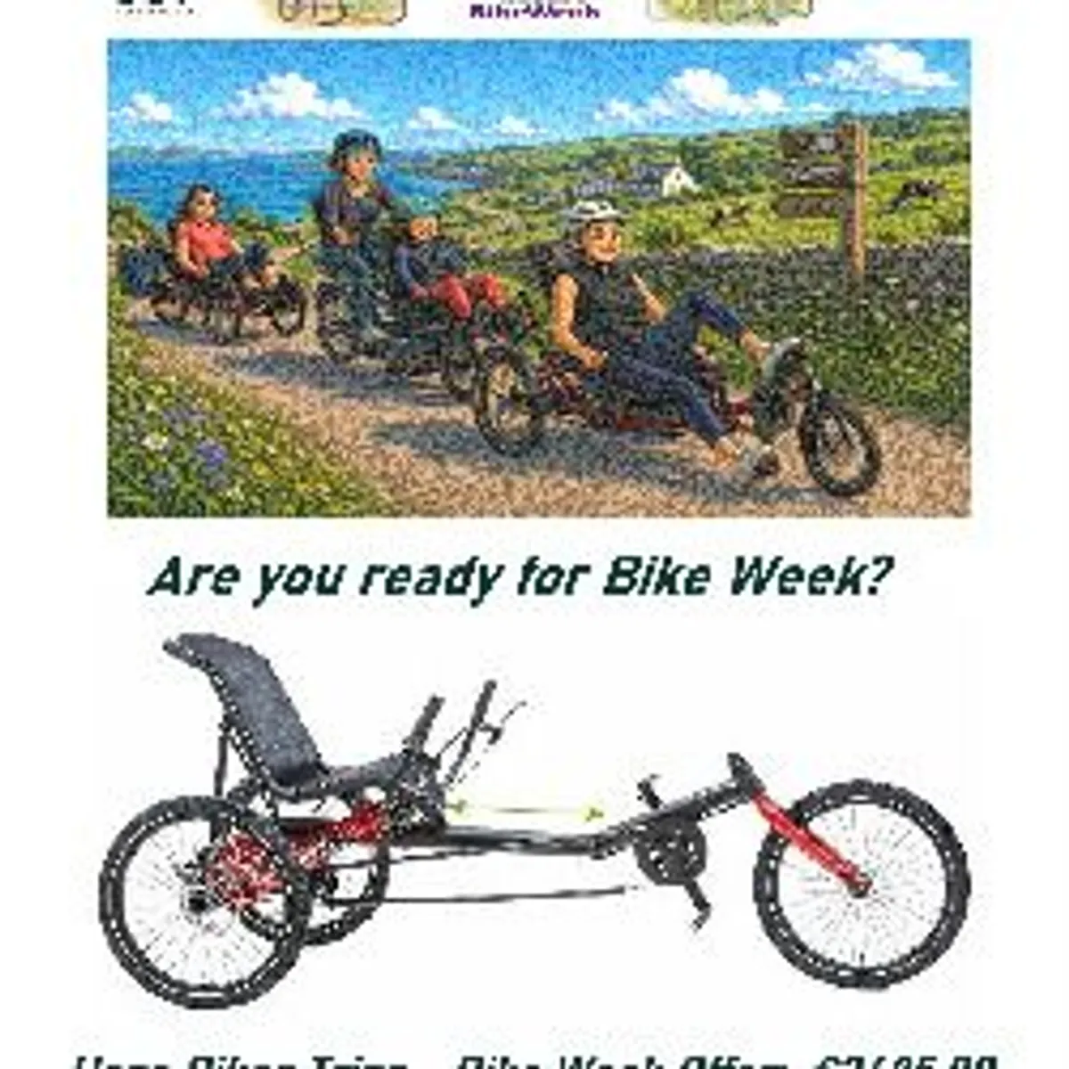 Bicycle - Recumbent Trike - Image 2