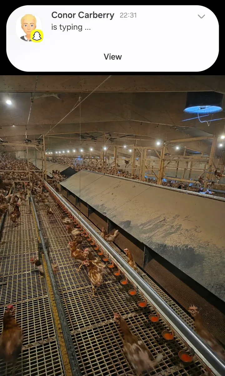Poultry 2012 Jansen 8000 flat deck - Image 1