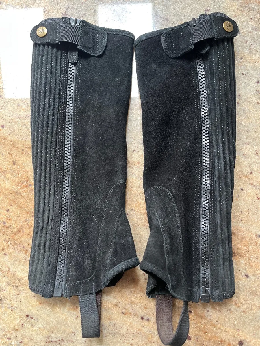 Horse riding equipment - Image 3