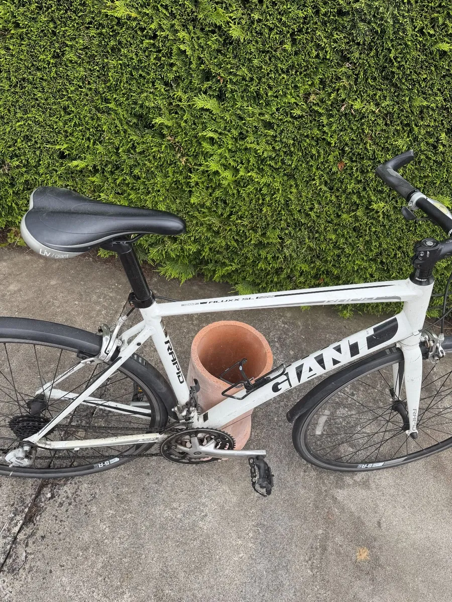 Giant Bike - Image 3