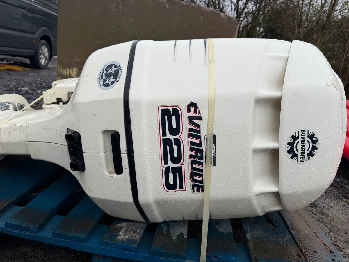 225 Evinrude - Image 1