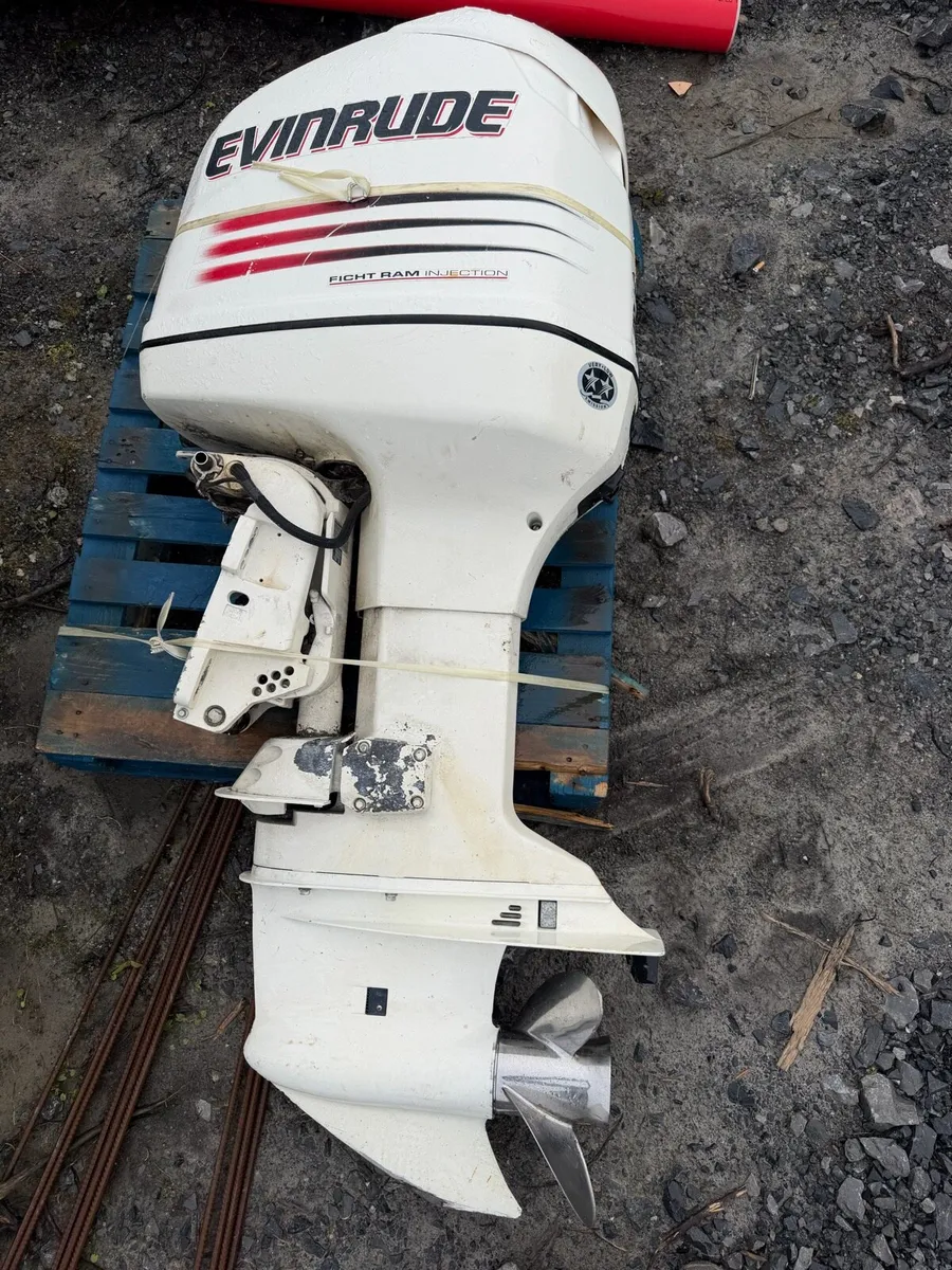 225 Evinrude - Image 2