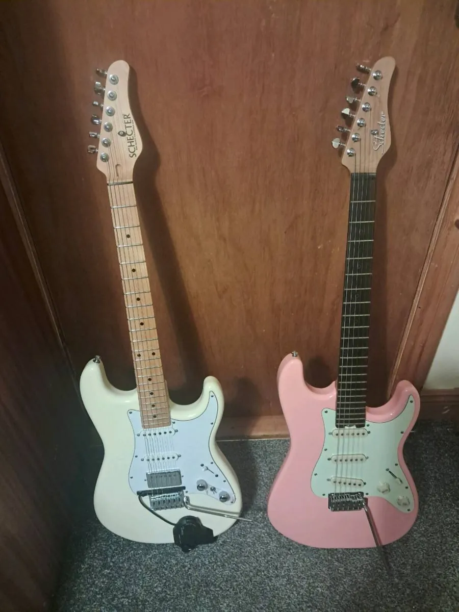 Schecter nick johnston