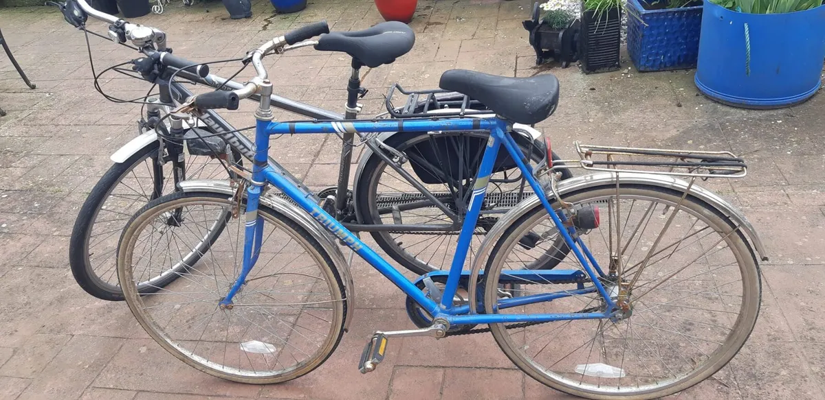 2 adult bicycles - Image 1