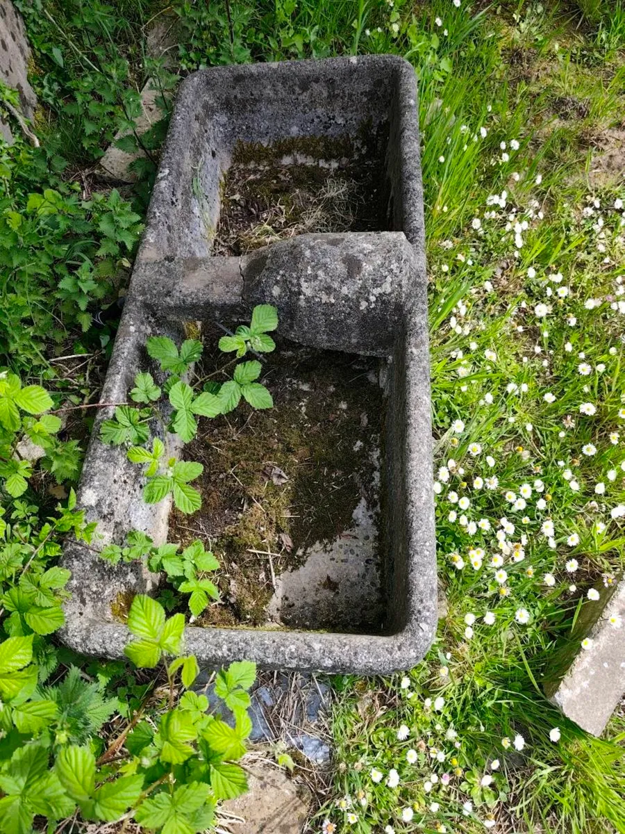Vintage limestone trough