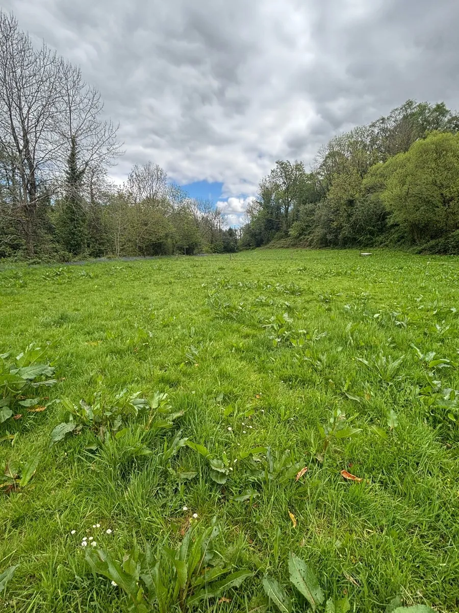 C 2 acres. Near Fermoy. - Image 1