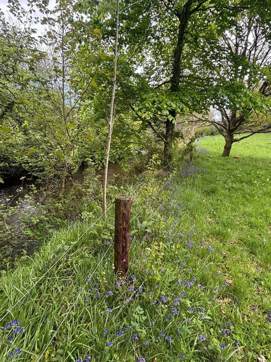 C 2 acres. Near Fermoy. - Image 2