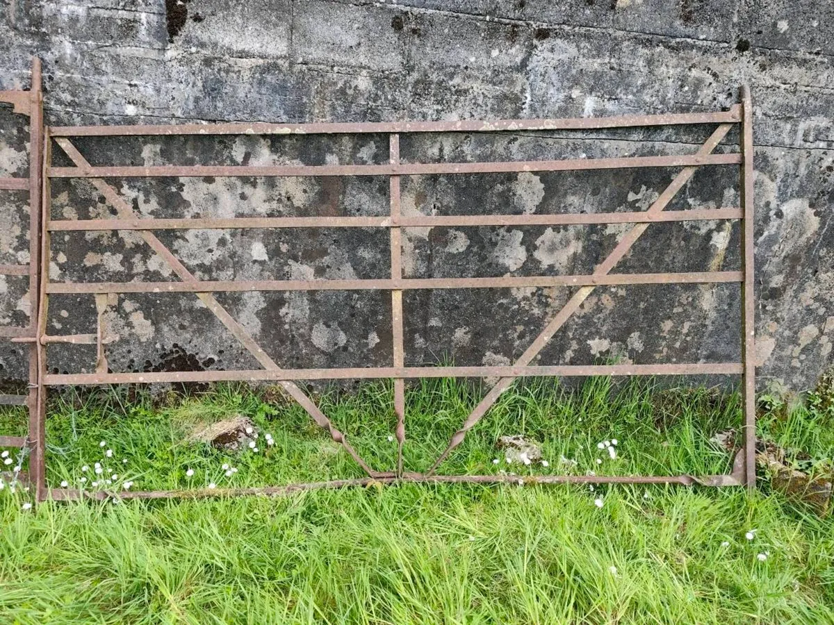 Wrought Iron gate 8ft 9 X 4ft 7