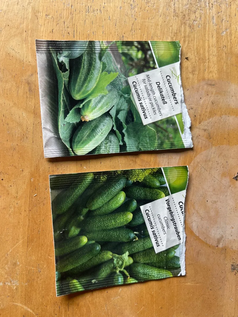 Tomatoes and cucumber plants - Image 4