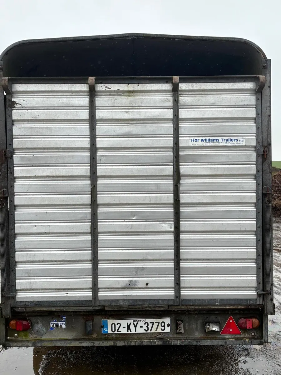 12 by 6 Cattle box - Image 3