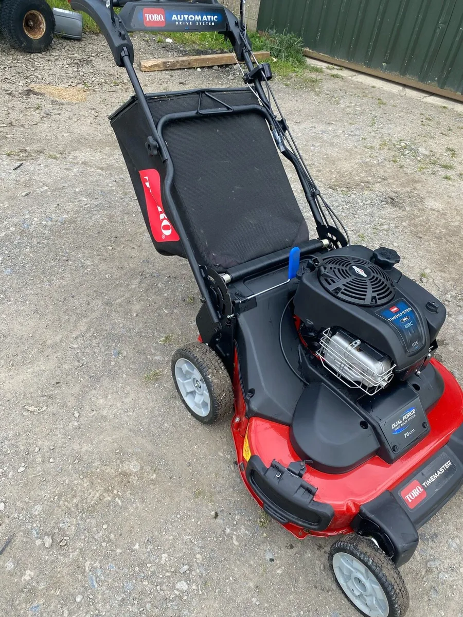 Toro - Image 3