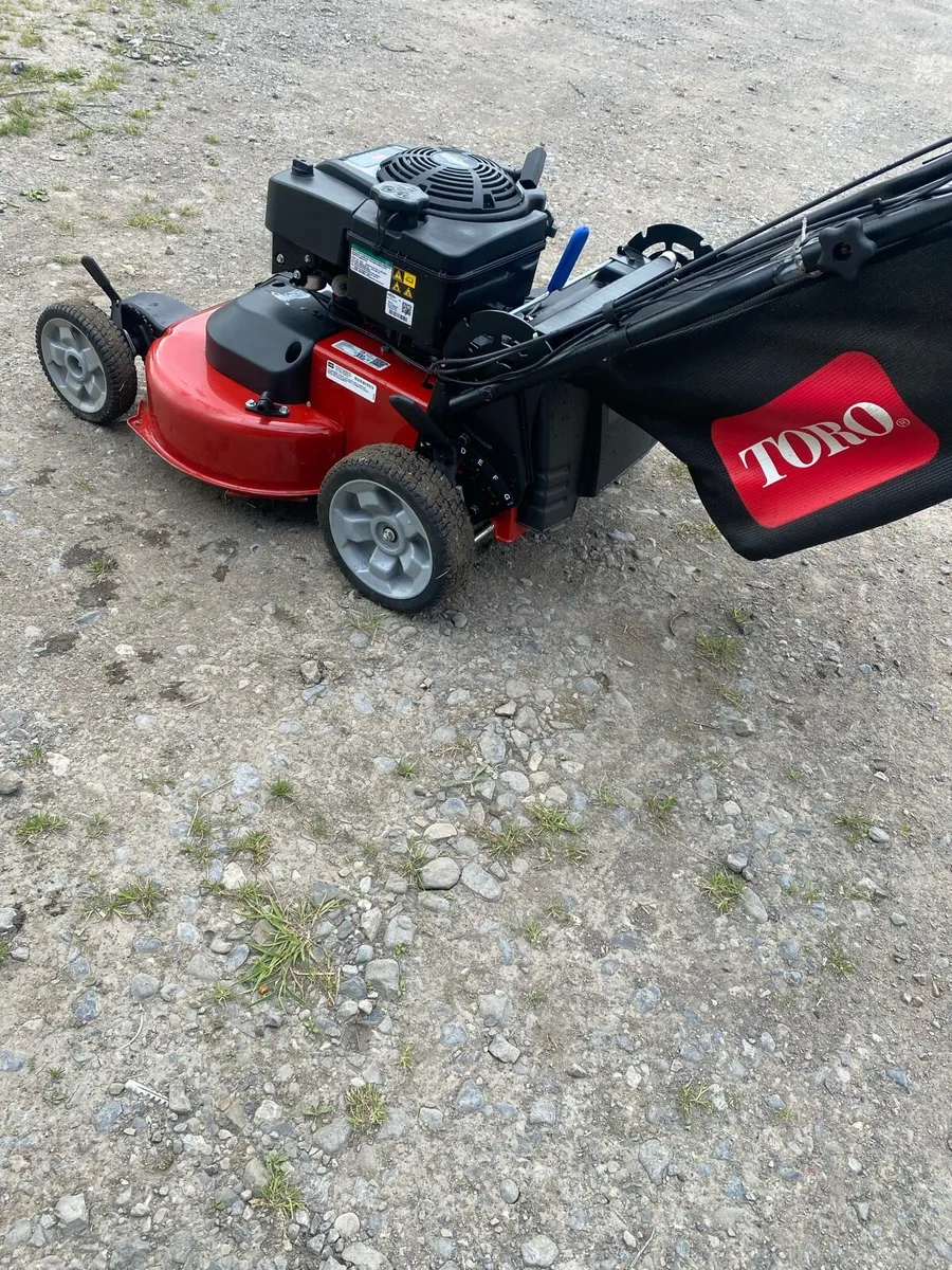 Toro - Image 4
