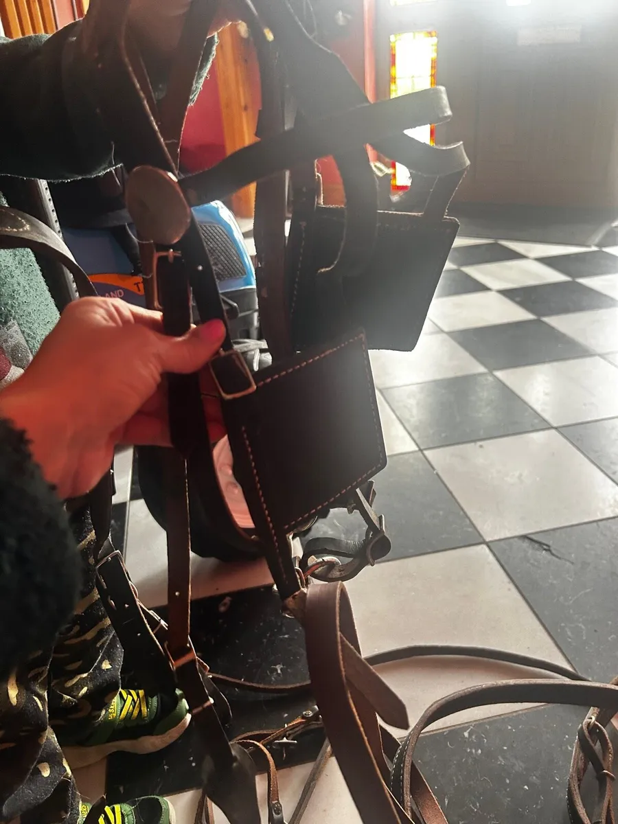Leather driving harness - Image 2