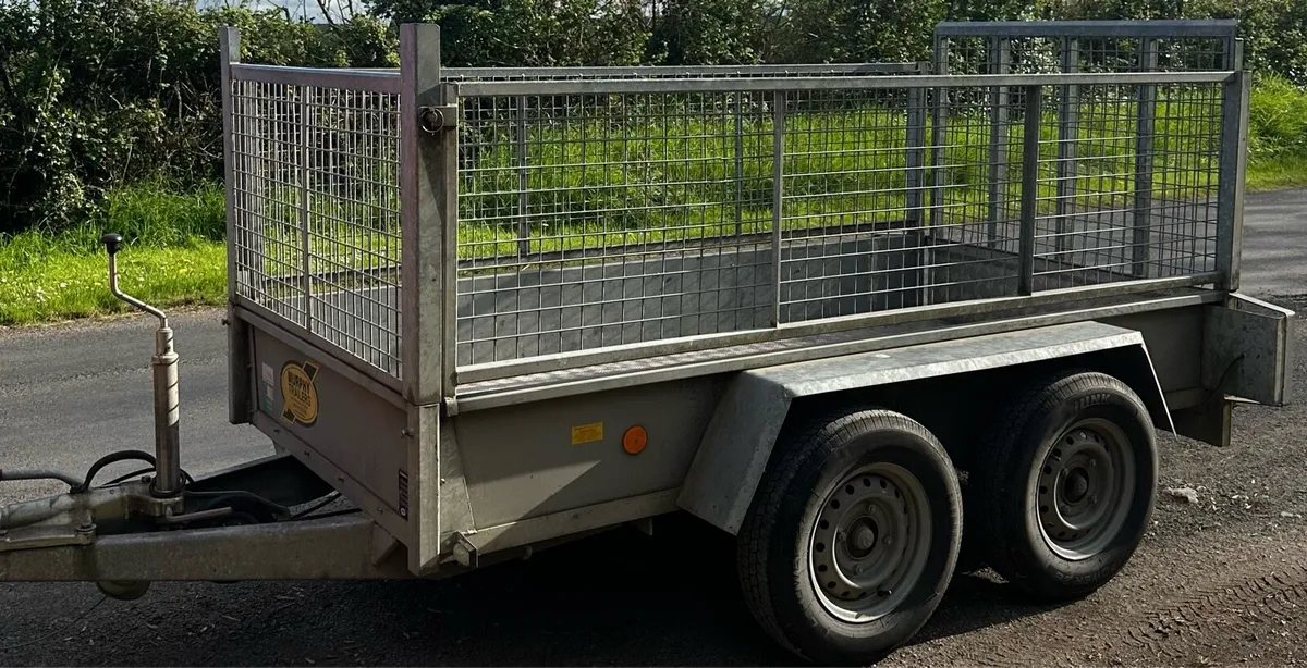 8 x 4 Murphys Trailer - Image 2