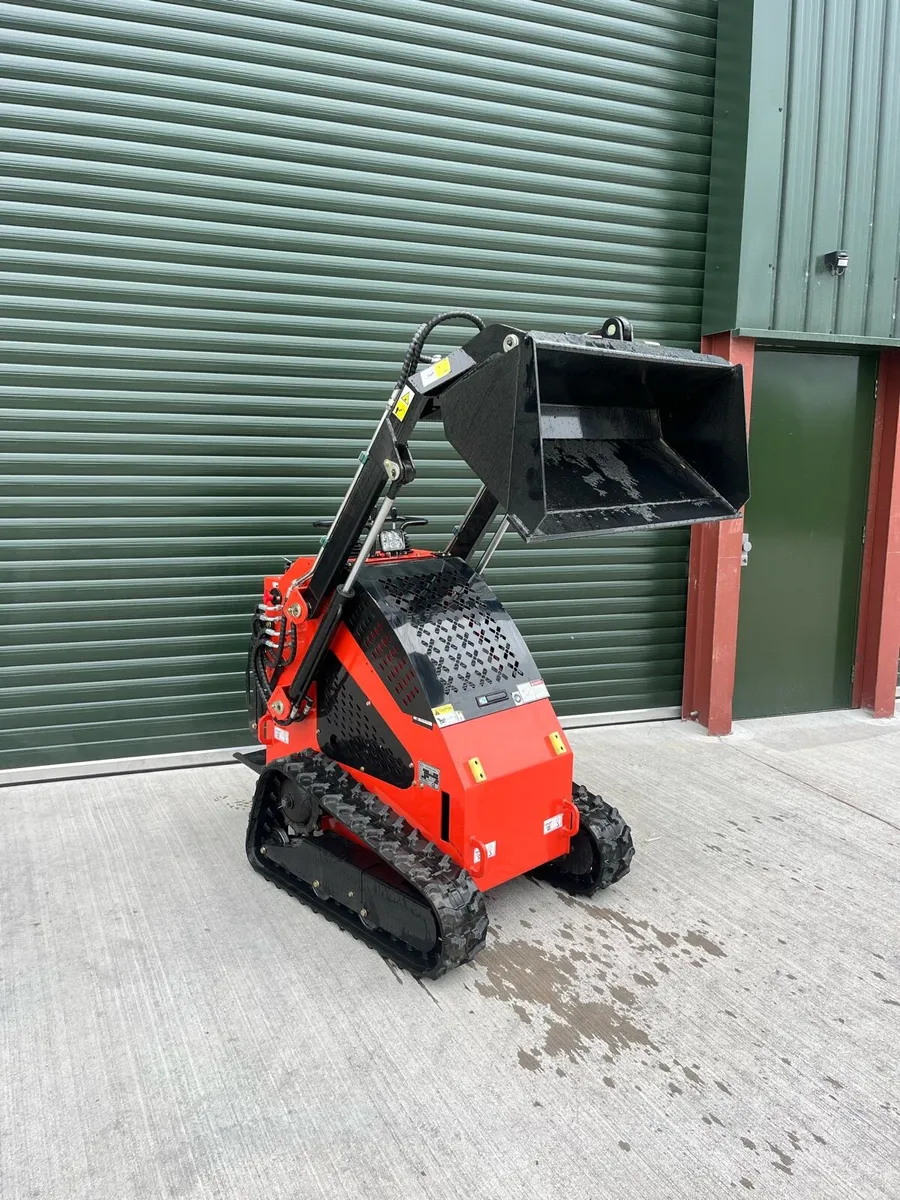 Skid steer loader / pedestrian loader - Image 1