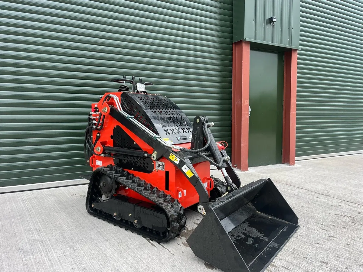 Skid steer loader / pedestrian loader - Image 2
