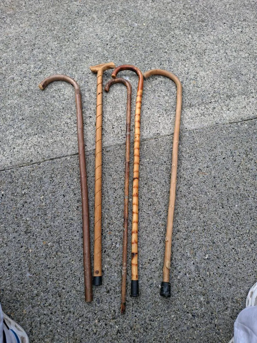 Walking stick - Image 1