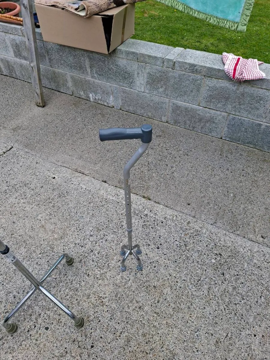 Walking stick - Image 2
