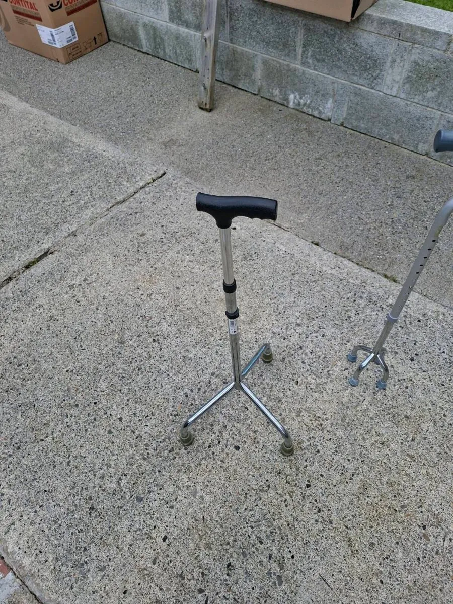 Walking stick - Image 3