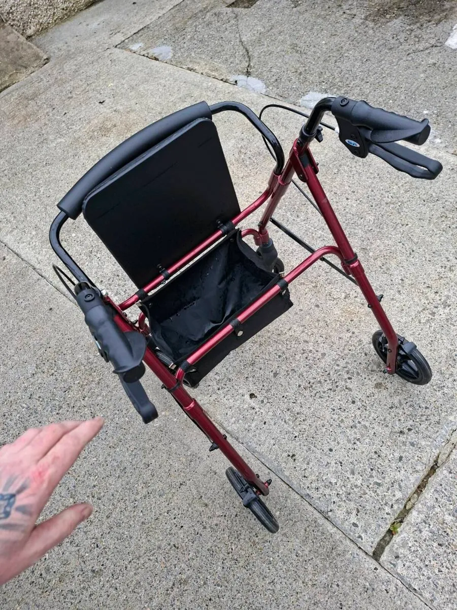 Walker - Image 4