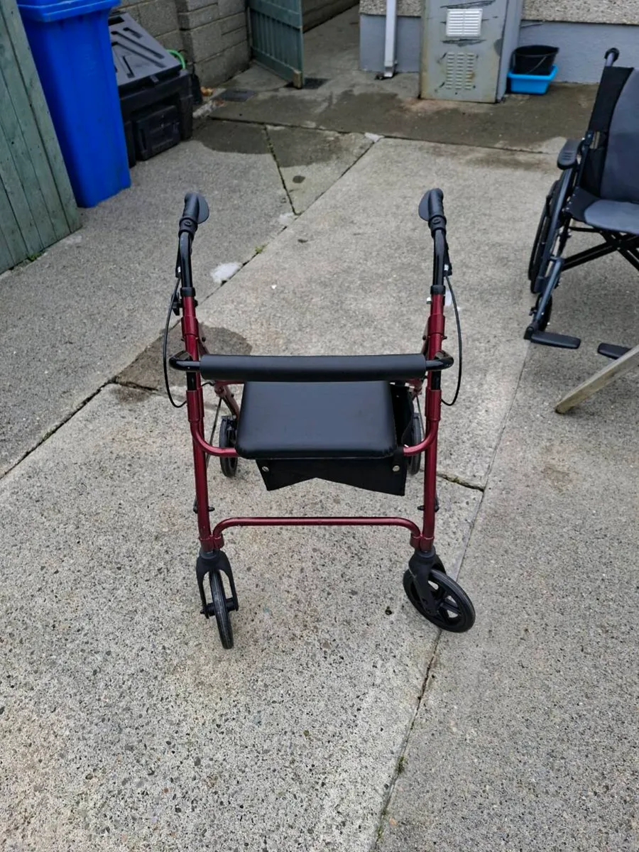 Walker - Image 1
