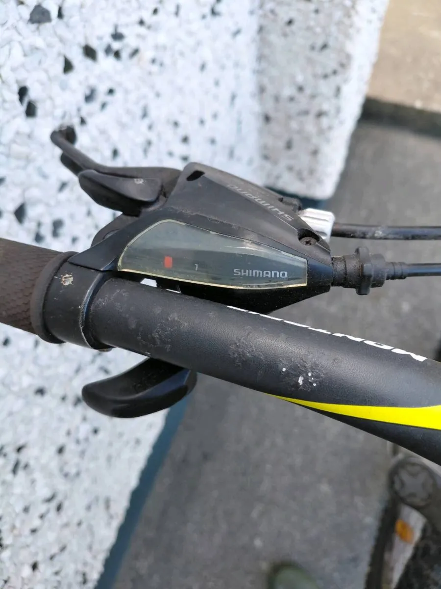 Bicyle - Image 3