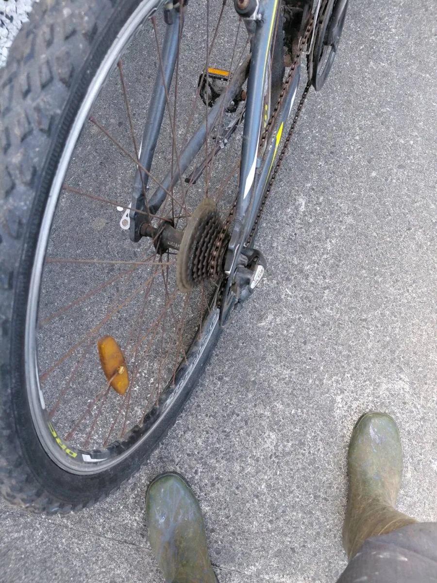 Bicyle - Image 4
